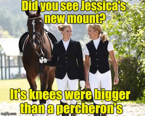 When society girls dish dirt | Did you see Jessica's new mount? It's knees were bigger than a percheron's | image tagged in iloveanimals,society girls,gossip | made w/ Imgflip meme maker