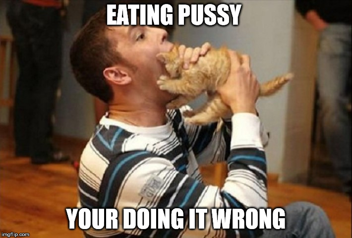 Your doing it wrong  | EATING PUSSY; YOUR DOING IT WRONG | image tagged in cat,eating,memes | made w/ Imgflip meme maker