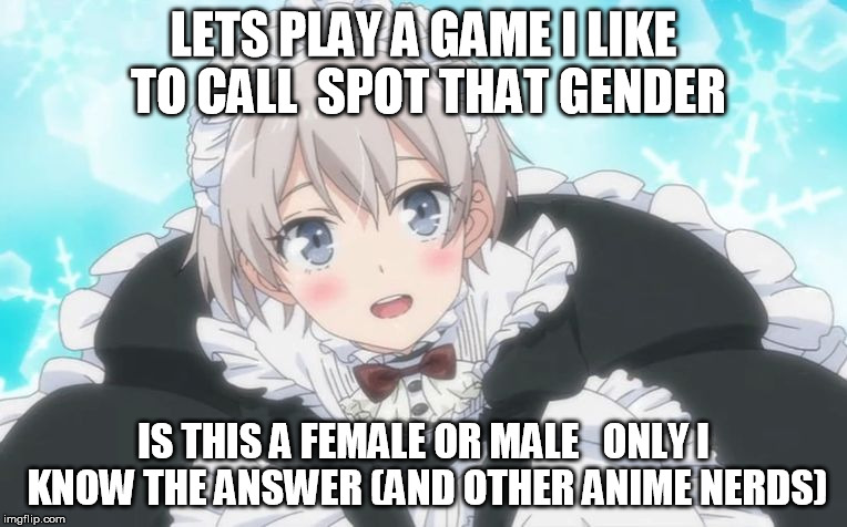 Trap | LETS PLAY A GAME I LIKE TO CALL 
SPOT THAT GENDER; IS THIS A FEMALE OR MALE 

ONLY I KNOW THE ANSWER (AND OTHER ANIME NERDS) | image tagged in trap | made w/ Imgflip meme maker