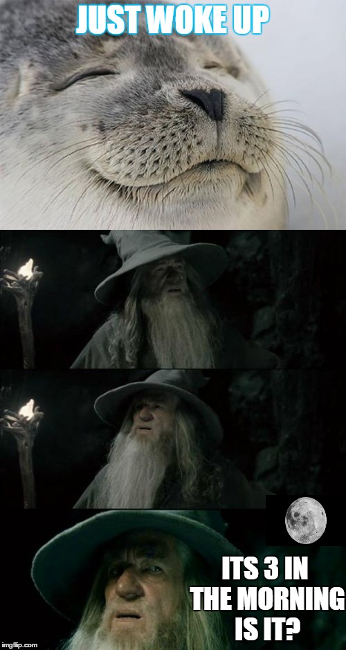 Just woke up...be like | JUST WOKE UP; ITS 3 IN THE MORNING IS IT? | image tagged in satisfied seal,confused gandalf | made w/ Imgflip meme maker