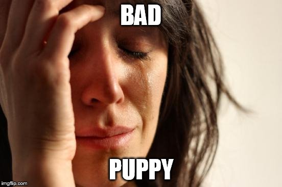 First World Problems Meme | BAD PUPPY | image tagged in memes,first world problems | made w/ Imgflip meme maker