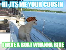 HI ,ITS ME YOUR COUSIN I HAVE A BOAT WHANNA RIDE | image tagged in cat on a boat,scumbag | made w/ Imgflip meme maker