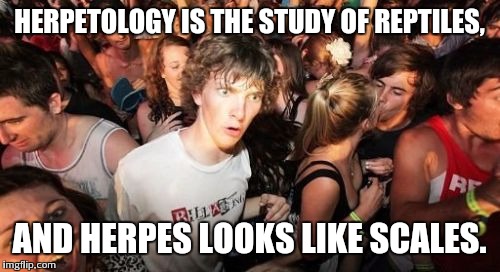 Sudden Clarity Clarence Meme | HERPETOLOGY IS THE STUDY OF REPTILES, AND HERPES LOOKS LIKE SCALES. | image tagged in memes,sudden clarity clarence | made w/ Imgflip meme maker