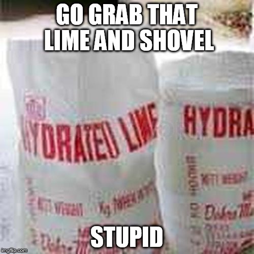 GO GRAB THAT LIME AND SHOVEL STUPID | made w/ Imgflip meme maker