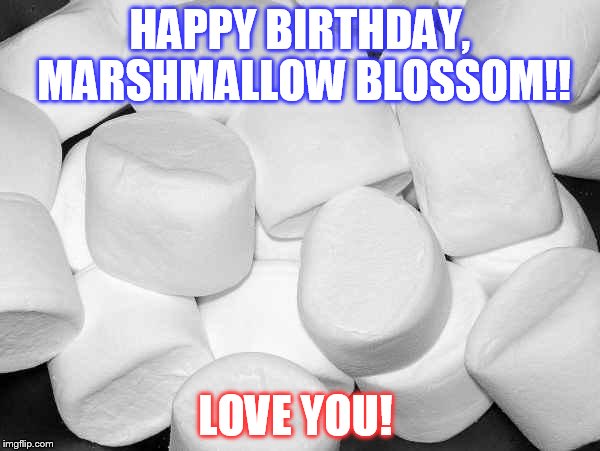 Marshmallow | HAPPY BIRTHDAY, MARSHMALLOW BLOSSOM!! LOVE YOU! | image tagged in marshmallow | made w/ Imgflip meme maker