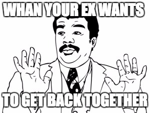 Neil deGrasse Tyson |  WHAN YOUR EX WANTS; TO GET BACK TOGETHER | image tagged in memes,neil degrasse tyson | made w/ Imgflip meme maker