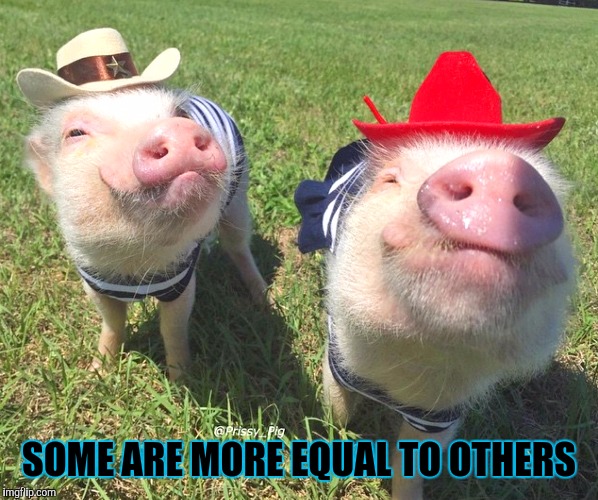 SOME ARE MORE EQUAL TO OTHERS | made w/ Imgflip meme maker