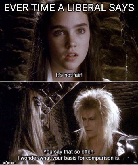 It's not fair, labyrinth | EVER TIME A LIBERAL SAYS | image tagged in it's not fair labyrinth | made w/ Imgflip meme maker