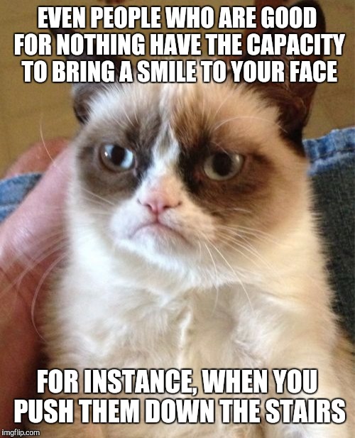 Grumpy Cat | EVEN PEOPLE WHO ARE GOOD FOR NOTHING HAVE THE CAPACITY TO BRING A SMILE TO YOUR FACE; FOR INSTANCE, WHEN YOU PUSH THEM DOWN THE STAIRS | image tagged in memes,grumpy cat,dark humor,sarcasm,funny,front page | made w/ Imgflip meme maker