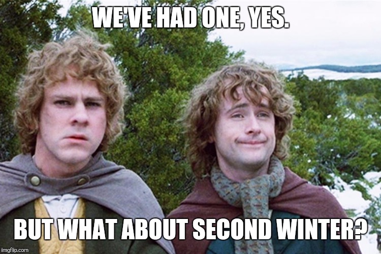 hobbits | WE'VE HAD ONE, YES. BUT WHAT ABOUT SECOND WINTER? | image tagged in hobbits,AdviceAnimals | made w/ Imgflip meme maker