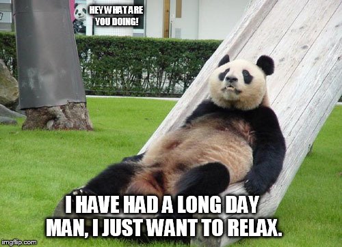 Lazy Panda | HEY WHAT ARE YOU DOING! I HAVE HAD A LONG DAY MAN, I JUST WANT TO RELAX. | image tagged in lazy panda,panda,lazy | made w/ Imgflip meme maker