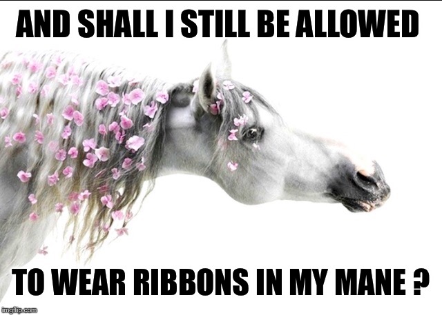 AND SHALL I STILL BE ALLOWED TO WEAR RIBBONS IN MY MANE ? | made w/ Imgflip meme maker