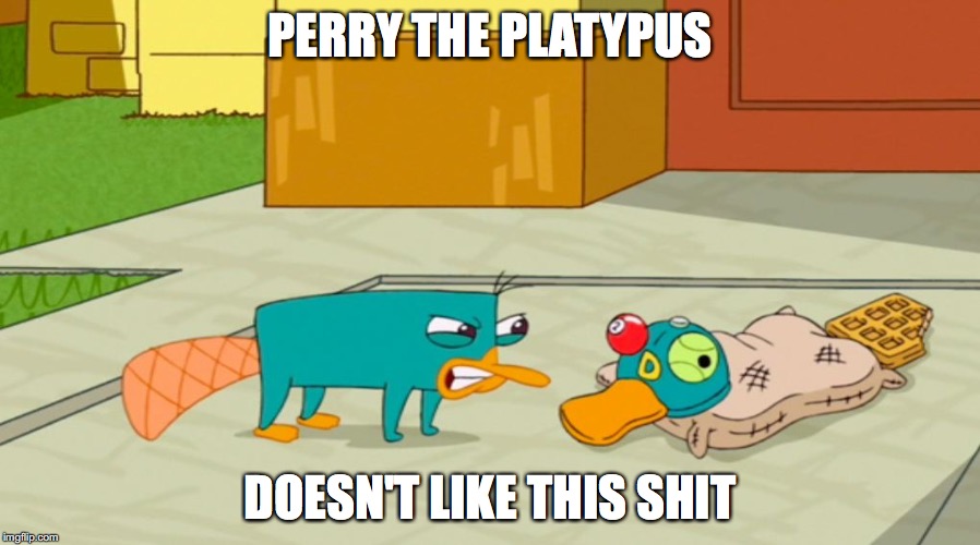 Perry the Platypus Doesn't Like to be Mocked | PERRY THE PLATYPUS; DOESN'T LIKE THIS SHIT | image tagged in perry the platypus,phineas and ferb,memes | made w/ Imgflip meme maker