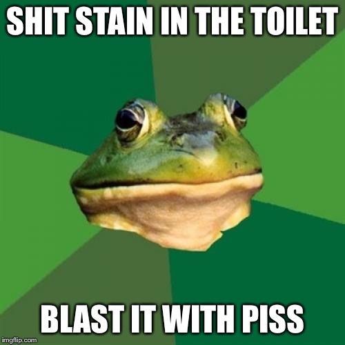 Foul Bachelor Frog | SHIT STAIN IN THE TOILET; BLAST IT WITH PISS | image tagged in memes,foul bachelor frog | made w/ Imgflip meme maker