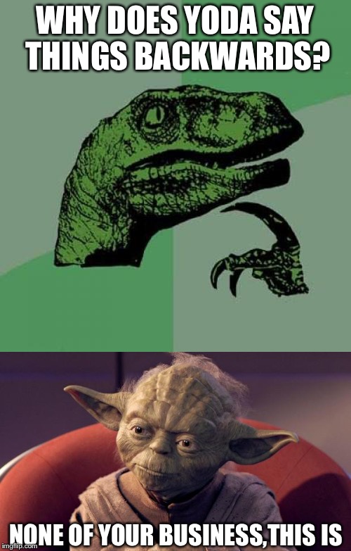 WHY DOES YODA SAY THINGS BACKWARDS? NONE OF YOUR BUSINESS,THIS IS | image tagged in philosoraptor | made w/ Imgflip meme maker