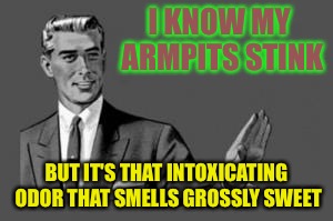 Ever have a stink that smells good?  | I KNOW MY ARMPITS STINK; BUT IT'S THAT INTOXICATING ODOR THAT SMELLS GROSSLY SWEET | image tagged in kill yourself guy,memes,lol,funny memes,funny | made w/ Imgflip meme maker