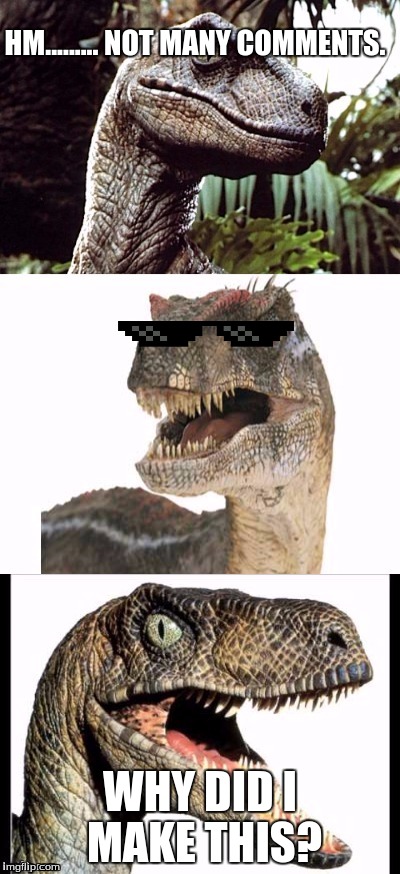 RaptorClaw | HM......... NOT MANY COMMENTS. WHY DID I MAKE THIS? | image tagged in raptorclaw | made w/ Imgflip meme maker