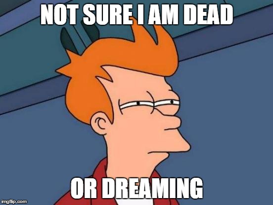 Not sure if... | NOT SURE I AM DEAD; OR DREAMING | image tagged in memes,futurama fry | made w/ Imgflip meme maker