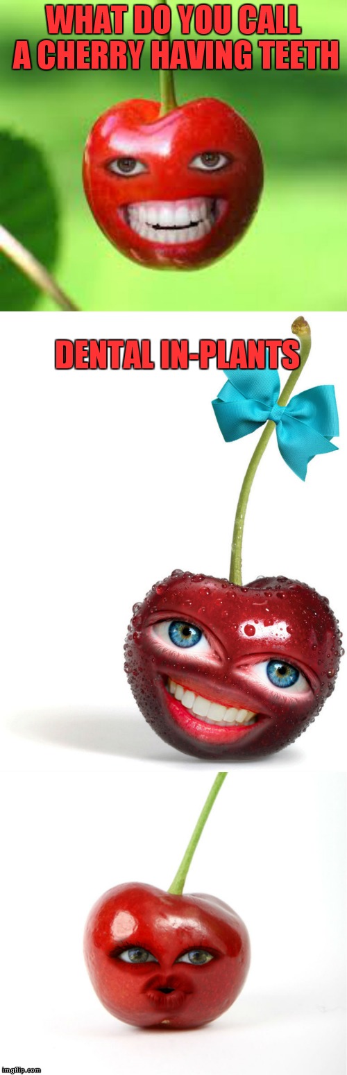 I cherry picked this idea out of a comment.... | WHAT DO YOU CALL A CHERRY HAVING TEETH; DENTAL IN-PLANTS | image tagged in bad pun,cherry | made w/ Imgflip meme maker