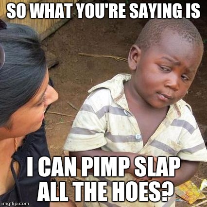 Third World Skeptical Kid Meme | SO WHAT YOU'RE SAYING IS; I CAN PIMP SLAP ALL THE HOES? | image tagged in memes,third world skeptical kid | made w/ Imgflip meme maker