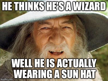 A Wizard Is Never Late | HE THINKS HE'S A WIZARD; WELL HE IS ACTUALLY WEARING A SUN HAT | image tagged in a wizard is never late | made w/ Imgflip meme maker