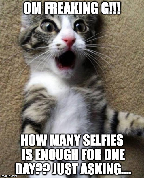 OMGCat | OM FREAKING G!!! HOW MANY SELFIES IS ENOUGH FOR ONE DAY?? JUST ASKING.... | image tagged in omgcat | made w/ Imgflip meme maker