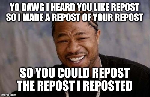 If I like them I upvote them if not I just keep scrolling. It's the internet it's going to happen. Who cares! ?!?! | YO DAWG I HEARD YOU LIKE REPOST SO I MADE A REPOST OF YOUR REPOST; SO YOU COULD REPOST THE REPOST I REPOSTED | image tagged in memes,yo dawg heard you | made w/ Imgflip meme maker