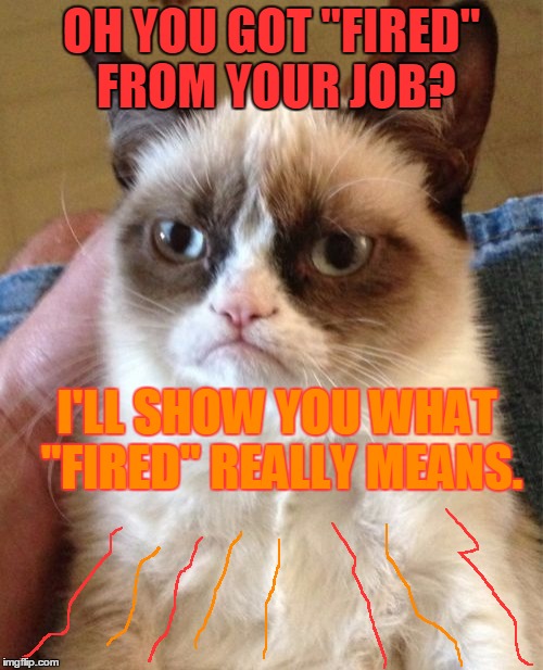 Grumpy Cat Meme | OH YOU GOT "FIRED" FROM YOUR JOB? I'LL SHOW YOU WHAT "FIRED" REALLY MEANS. | image tagged in memes,grumpy cat,fired,job,work,fire | made w/ Imgflip meme maker