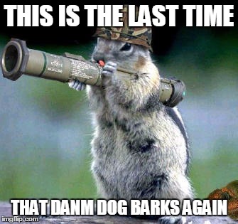 Bazooka Squirrel Meme | THIS IS THE LAST TIME; THAT DANM DOG BARKS AGAIN | image tagged in memes,bazooka squirrel | made w/ Imgflip meme maker