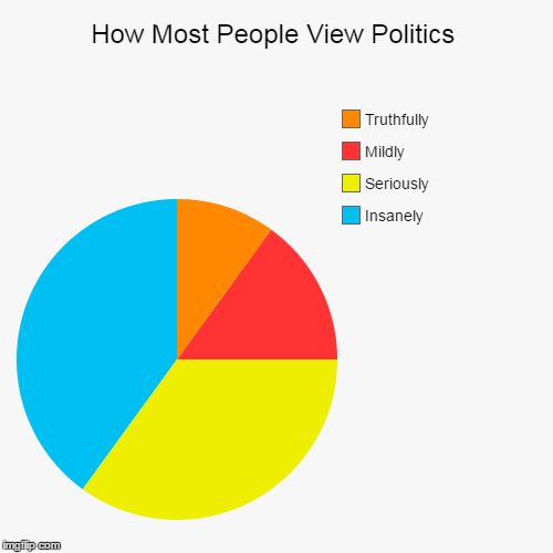 Seems About Right! | image tagged in funny,pie charts,politics,truth,views,people | made w/ Imgflip chart maker