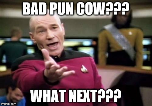 Picard Wtf Meme | BAD PUN COW??? WHAT NEXT??? | image tagged in memes,picard wtf | made w/ Imgflip meme maker