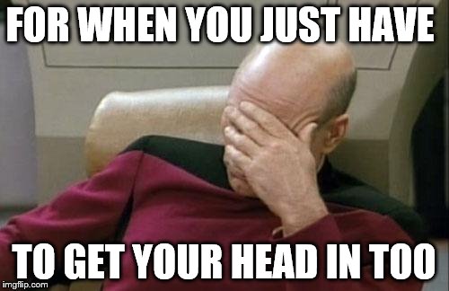 Captain Picard Facepalm Meme | FOR WHEN YOU JUST HAVE TO GET YOUR HEAD IN TOO | image tagged in memes,captain picard facepalm | made w/ Imgflip meme maker