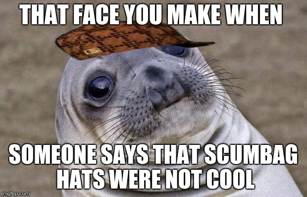 Awkward Moment Sealion | THAT FACE YOU MAKE WHEN; SOMEONE SAYS THAT SCUMBAG HATS WERE NOT COOL | image tagged in memes,awkward moment sealion,scumbag | made w/ Imgflip meme maker