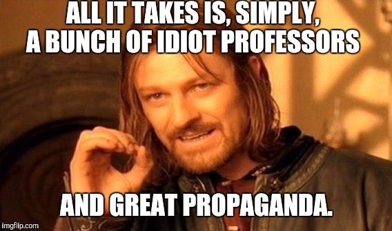 One Does Not Simply Meme | ALL IT TAKES IS, SIMPLY, A BUNCH OF IDIOT PROFESSORS AND GREAT PROPAGANDA. | image tagged in memes,one does not simply | made w/ Imgflip meme maker