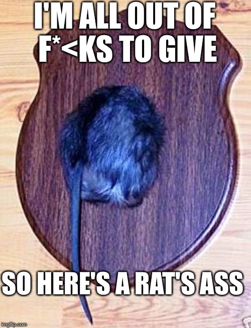 I'M ALL OUT OF F*<KS TO GIVE SO HERE'S A RAT'S ASS | made w/ Imgflip meme maker