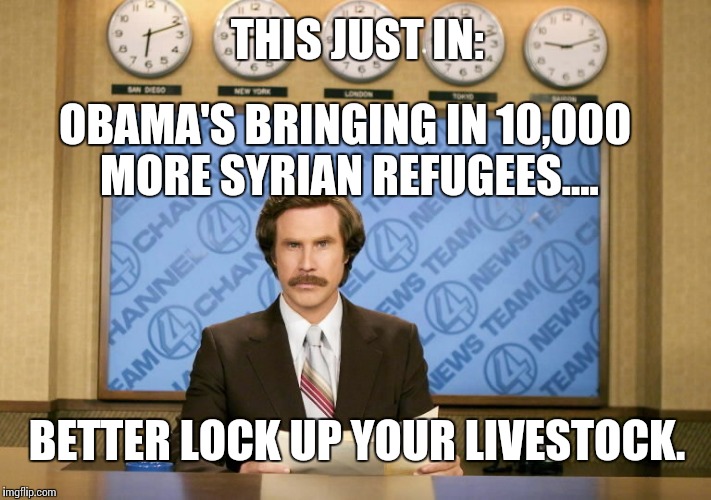 Lock Bessie down.  | THIS JUST IN:; OBAMA'S BRINGING IN 10,000 MORE SYRIAN REFUGEES.... BETTER LOCK UP YOUR LIVESTOCK. | image tagged in this just in,syrian refugees,funny,memes | made w/ Imgflip meme maker