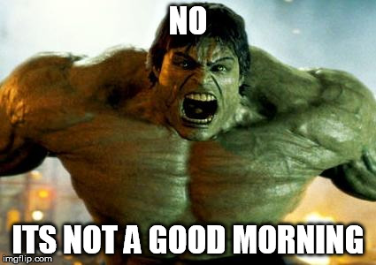 hulk | NO; ITS NOT A GOOD MORNING | image tagged in hulk | made w/ Imgflip meme maker