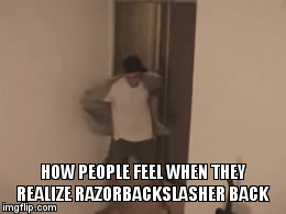 The twitch  | HOW PEOPLE FEEL WHEN THEY REALIZE RAZORBACKSLASHER BACK | image tagged in gifs | made w/ Imgflip video-to-gif maker