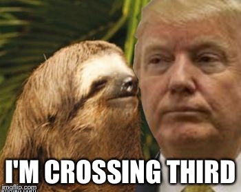 Political advice sloth | I'M CROSSING THIRD | image tagged in political advice sloth | made w/ Imgflip meme maker