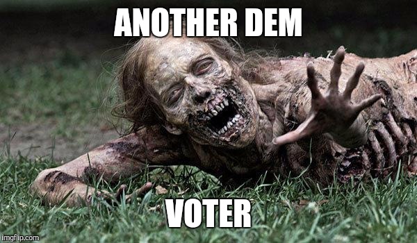 Democratic constituent heads to the poll...again. | ANOTHER DEM; VOTER | image tagged in walking dead zombie,political,democrats | made w/ Imgflip meme maker