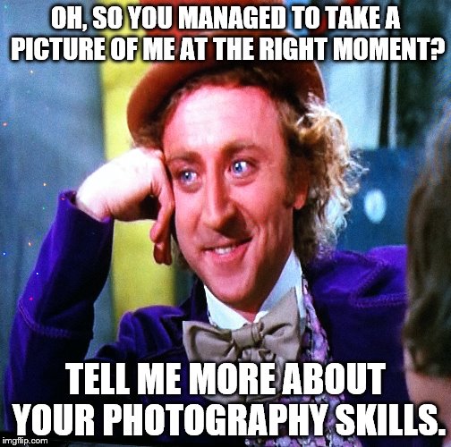 This actually happened last Christmas, but still! | OH, SO YOU MANAGED TO TAKE A PICTURE OF ME AT THE RIGHT MOMENT? TELL ME MORE ABOUT YOUR PHOTOGRAPHY SKILLS. | image tagged in creepy condescending wonka,camera | made w/ Imgflip meme maker