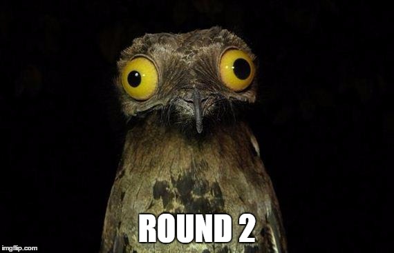 ROUND 2 | made w/ Imgflip meme maker