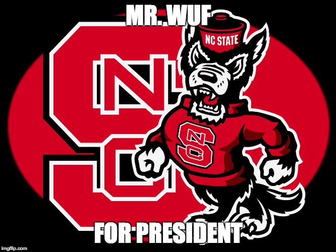 MR. WUF; FOR PRESIDENT | image tagged in wolf | made w/ Imgflip meme maker