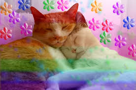 rainbow cats Blank Meme Template