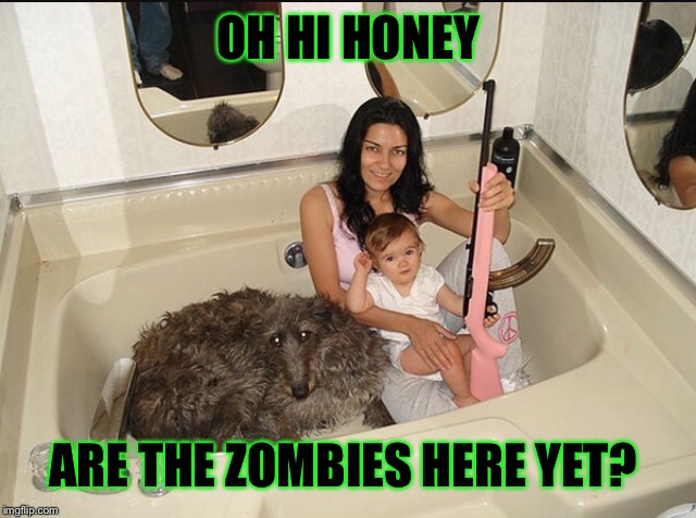 Armed for geddon( get it Armageddon) ha ha ha. Oh well, it's midnight and I have one last submission to burn | OH HI HONEY; ARE THE ZOMBIES HERE YET? | image tagged in memes,funny,apocalypse,second amendment,family,zombies | made w/ Imgflip meme maker