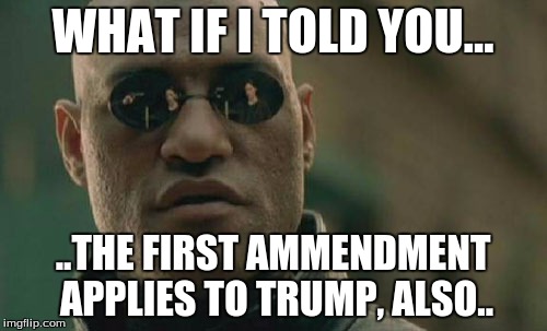 Matrix Morpheus Meme | WHAT IF I TOLD YOU... ..THE FIRST AMMENDMENT APPLIES TO TRUMP, ALSO.. | image tagged in memes,matrix morpheus | made w/ Imgflip meme maker