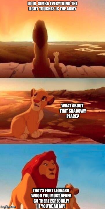 Lion King | LOOK, SIMBA EVERYTHING THE LIGHT TOUCHES IS THE ARMY; WHAT ABOUT THAT SHADOWY PLACE? THAT'S FORT LEONARD WOOD YOU MUST NEVER GO THERE ESPECIALLY IF YOU'RE AN MP! | image tagged in lion king | made w/ Imgflip meme maker