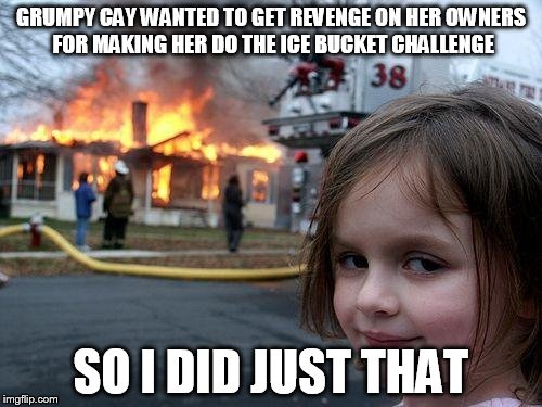 Disaster Girl | GRUMPY CAY WANTED TO GET REVENGE ON HER OWNERS FOR MAKING HER DO THE ICE BUCKET CHALLENGE; SO I DID JUST THAT | image tagged in memes,disaster girl | made w/ Imgflip meme maker