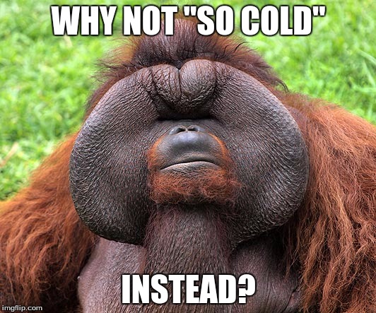 WHY NOT "SO COLD" INSTEAD? | image tagged in major rustling | made w/ Imgflip meme maker