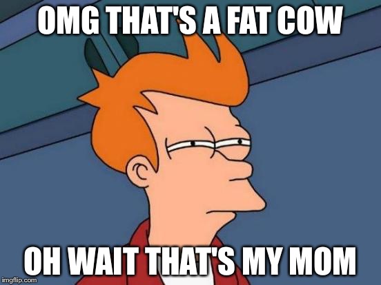 Futurama Fry Meme | OMG THAT'S A FAT COW; OH WAIT THAT'S MY MOM | image tagged in memes,futurama fry | made w/ Imgflip meme maker